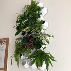 Vertical gardens are not exactly news but we feel like they’re not as popular as they could be so today we’re going to have a look at some beautiful and creative designs and ideas that we think could inspire you to add your own vertical garden to...