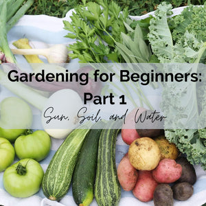 Gardening for Beginners: How to Start