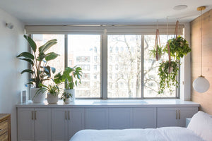 How to Hang Plants Indoors, According to Someone Who Does It for a Living