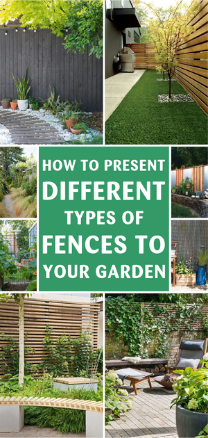 How to Present Different Types of Fences to Your Garden