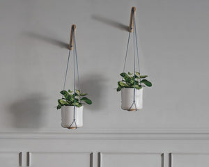 Hanging Planters Two, Bohemian Modern Macrame Plant Hanger, Wall Plant Hanger, Indoor Planter Hanger, I by loopdesignstudio