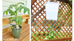 DIY Topsy Turvy Tomato® Planter