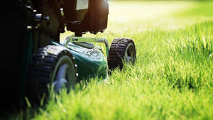 Best Lawn Mowers for Big Yards