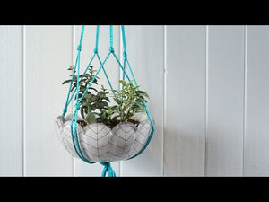 Make a Macramé Plant Hanger in Minutes by Better Homes and Gardens (5 years ago)