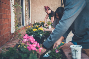 Planting a pollinator garden may just be the best gift to give Mother Earth this year