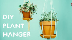 This simple plant hanger is great for decorating your home