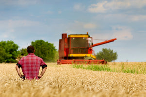 Since the 1970s, American farmers have been urged to produce as much as possible at all times