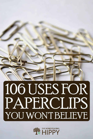 I think it’s safe to say we know what paperclips are; some of us use them on a weekly or daily basis.