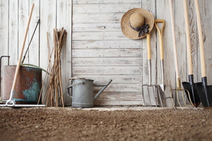 Are you curious about starting your very first garden but feel intimidated that you really don’t know what you’re doing? That’s okay