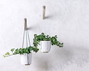 Hanging planter with light blue thread, wall planter, indoor plant hanger E by loopdesignstudio
