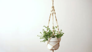 DIY Macramé Hanging Planter by createwithjenn (2 years ago)