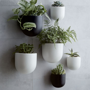 The Best Wall Planters for the Vertical Garden of Your Dream