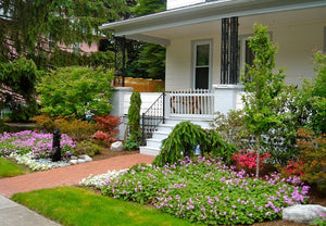 If you live in a modest home, chances are your front yard is a modest size as well