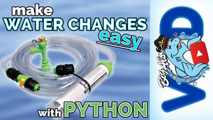 Buy the Python Here: