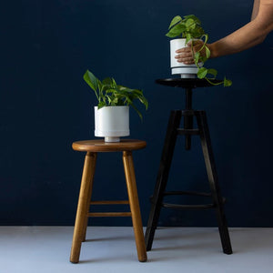 Self watering planter, modern plant pot, plant holder by loopdesignstudio