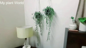 Macrame Plant holder / Easy macrame tutorial/macrame plant hanger for beginners by My Plant World (9 months ago)