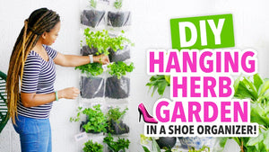 DIY Indoor Herb Garden in a Shoe Organizer! - HGTV Handmade by HGTV Handmade (3 years ago)