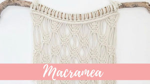 Macrame Plant Hanger by Kaleigh Sanders (3 years ago)