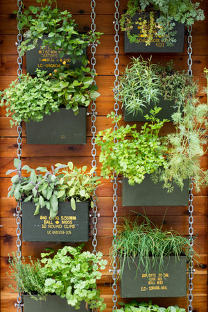 Beautiful Vertical Planter Ideas For Homes And Gardens