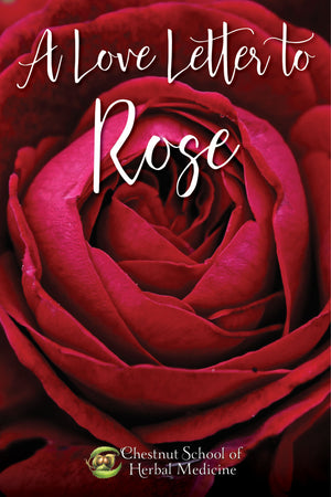 A Love Letter to Rose Written by Ayo Ngozi Drayton