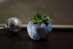 Here’s How to Make a Disco Ball Planter