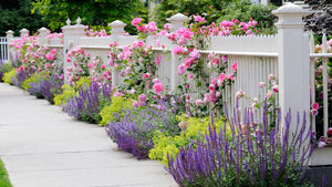 Spring Into Color with Flower Garden Ideas