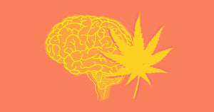 What Does Weed Do to Your Brain and Body?