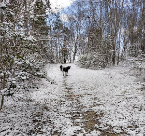 More Wintry Weather & Making Power