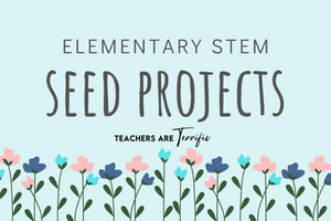 STEM Seed Projects for Elementary Students