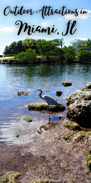 Nature Things to Do in Miami Florida