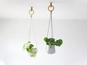 Hanging Planter from Ceiling with plant pot, Plant hanger, macrame hanging planter, ceiling hanging planter C by loopdesignstudio