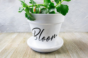 Cricut DIY “Bloom” Terra Cotta Flower Pot Project