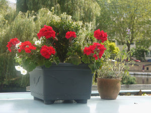 Kind Red Flower Pots