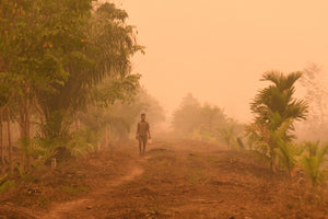 Half of Your Grocery List Contains Byproducts of an Environmental Scourge