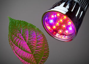 Illuminate your garden year-round with these grow lights