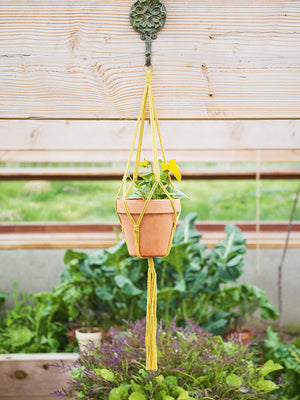 DIY: How to create a macramé plant hanger