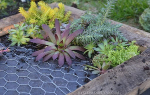 Fascinating Succulent Wall Planter