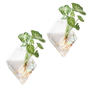 Mkono 2 Pack Wall Hanging Plant Terrarium Glass Planter for Home Decor, Diamond Shape