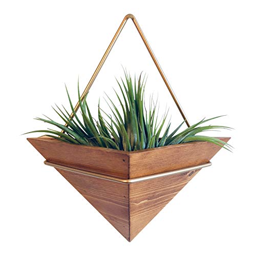 Artisanal Geometric Air Plant Holder – Made From, Sustainably Sourced Wood – Minimalist Style & Easy­To­Hang Design – Ethical Geometric Wall Decor Air Plant